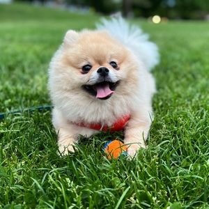 Meet your Posher, Catherine